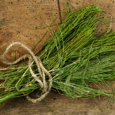 5 Herbs That Help Treat an Overactive Bladder