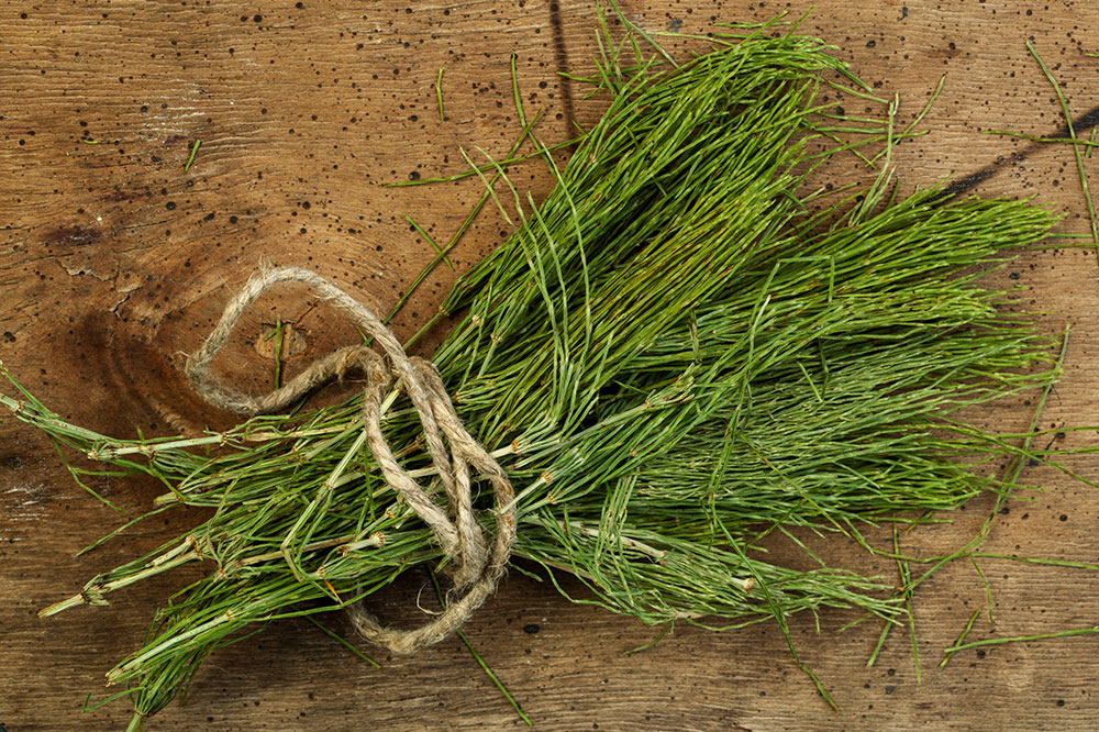 5 Herbs That Help Treat an Overactive Bladder