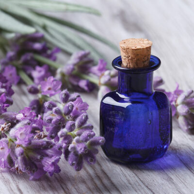 6 Herbal Remedies to Ease Migraines