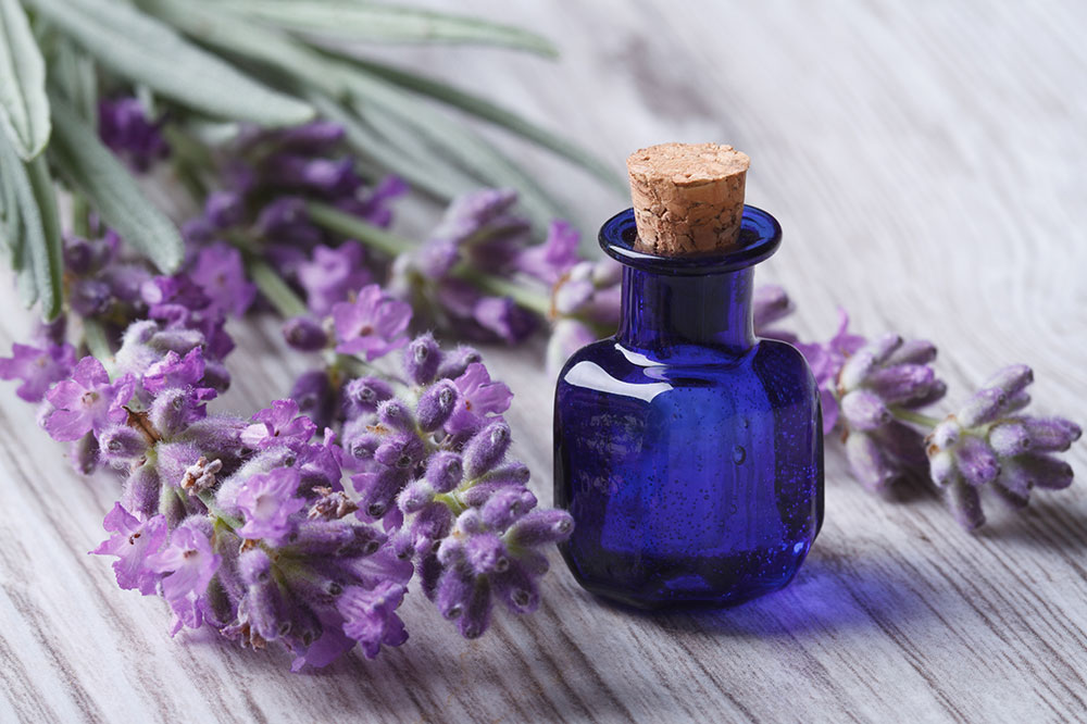 6 Herbal Remedies to Ease Migraines